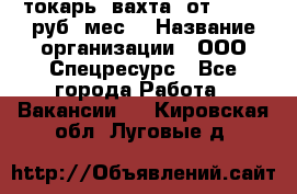 токарь. вахта. от 50 000 руб./мес. › Название организации ­ ООО Спецресурс - Все города Работа » Вакансии   . Кировская обл.,Луговые д.